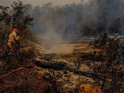 Foto da Notícia: Após requerimento da OAB-MT, CNJ reúne seccionais para tratar sobre desmatamento do Pantanal e Amazônia Legal